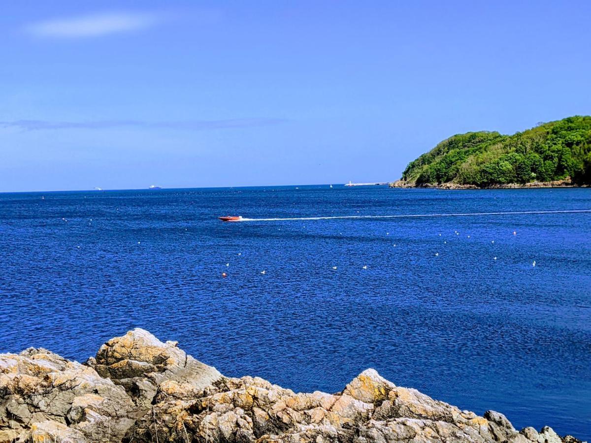 Abingdon House Bed & Breakfast Torquay Bagian luar foto